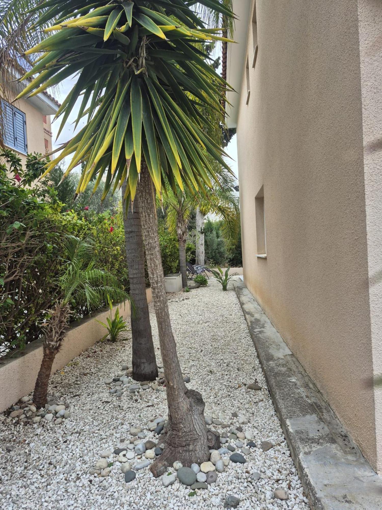 Casa Del Sol Townhouse In Iris Village Pafos Dış mekan fotoğraf